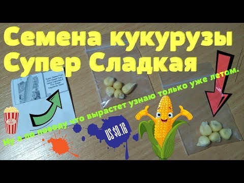 СУПЕР СЛАДКАЯ СЕМЕНА