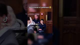 Kes in the house of commons debating About the petition Starmer must resign 🤣 #fyi #news #politics