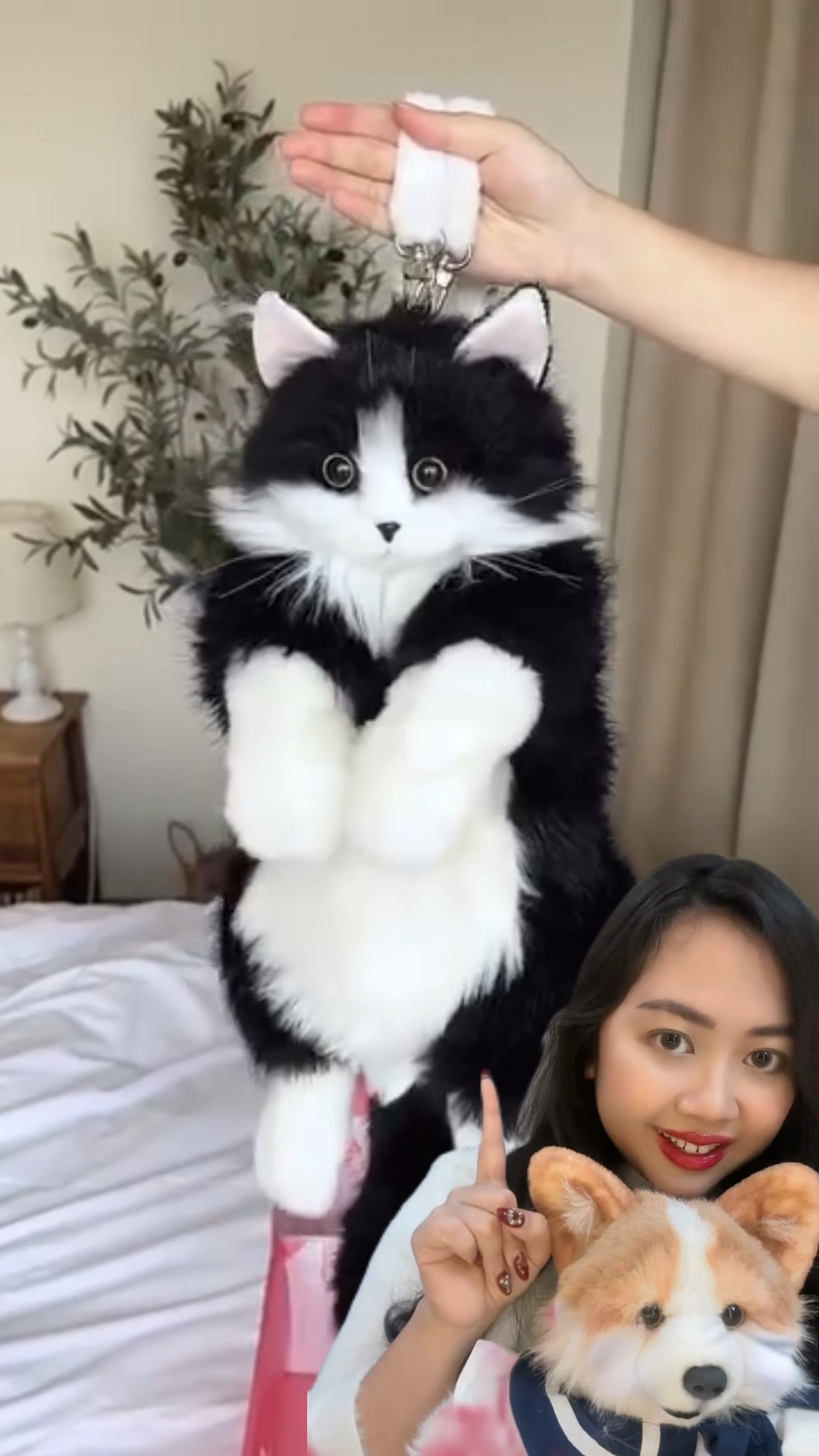 TAS KUCING VIRAL LUCU BANGET ? | Klara Tania #shorts