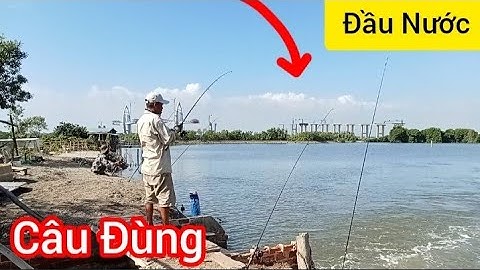 Câu Đùng Ngày Đầu Nước và Cái Kết || Câu Cá Tráp Đầu Mùa