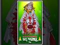 Jai budharaja status video🙏 ବୁଢ଼ାରଜା ଦଶ୍‌ରା ଷ୍ଟାଟସ୍ 🌿 ବିରିମୁହାନ #budharajamandir #budharajastatus
