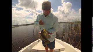 How to Find and Catch Shellcrackers with underwater footage