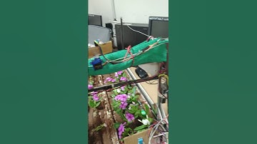 Software + Hardware Project completed✅😱 #trending #vlog #minivlog#travelvlog#shortvideo #amazingview