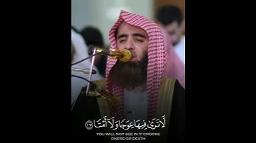 تلاوة من سورة طه || الشيخ محمد اللحيدان 🤍🌿