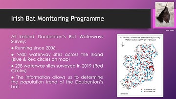 Irish Bat Monitoring Programme Video1 Intro