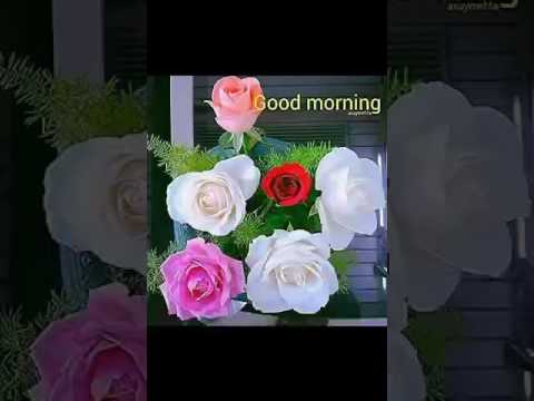 Good Morning Video No. 1
