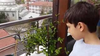 EVDE EĞİTİM: Gözlem ve İnceleme yapma