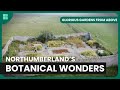 Cragside and Holy Island Gardens - Glorious Gardens From Above - S01 EP7 - Gardening Show