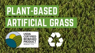 Is There an Eco-Friendly Artificial Grass? YES! (New in 2022)