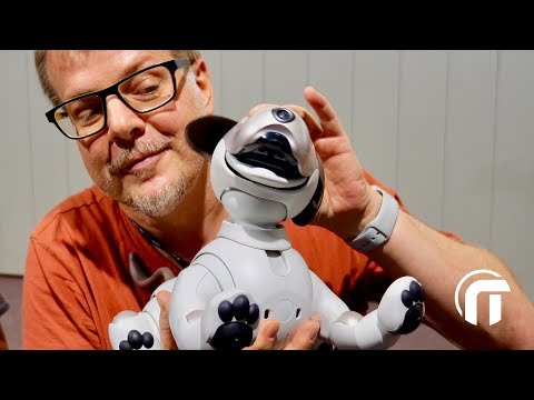 Vidéo: Combien coûte Aibo le chien robot ?