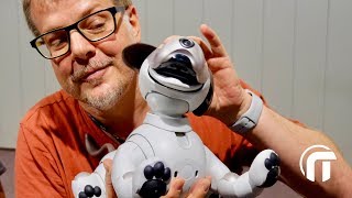 Aibo, le chienrobot, produit de niche ? (IFA2018)