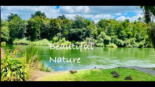 Beautiful Nature by Eustress New Zealand 110 views 3 months ago 7 minutes, 53 seconds
