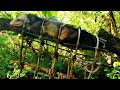 🔥TRAMPA💀👉 zarigueya, tlacuache, chucha, zorrochucho Zorro mochilero, rabipelado 