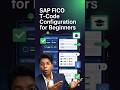 SAP FICO T-Code Configuration | Common Mistakes to Avoid