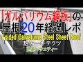 【「ガルバリウム鋼板」の屋根20年経過レポ】建築バラエティー