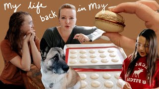 A very late DITL Vlog... Macarons, gardening, organizing, and more!