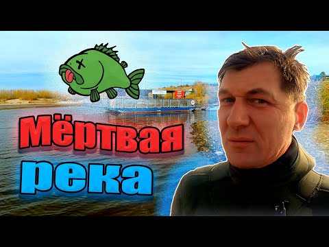 Мёртвая река. Куда