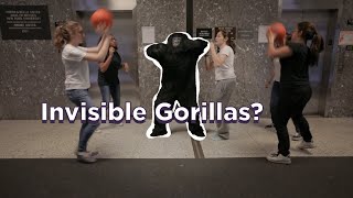 Brainiacs Episode 10: The Gorilla in the Room by New York University 936 views 7 months ago 3 minutes, 33 seconds