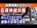 運動でセロトニンが作られる。自律神経失調症を治すために必要なこと|大和市の整体 中央林間カイロプラクティック