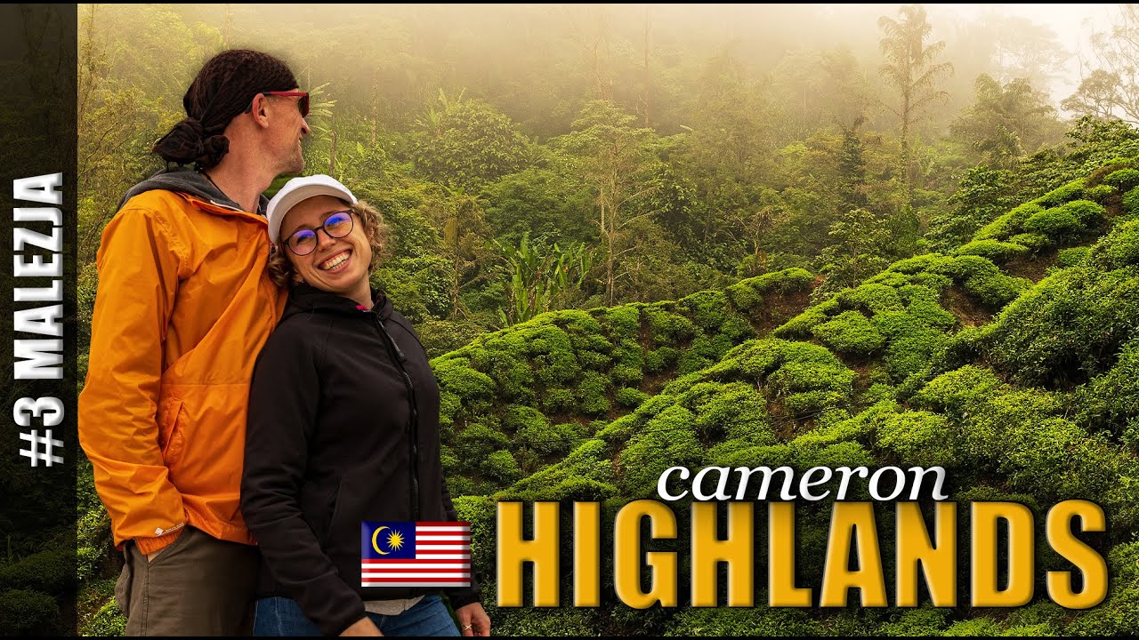 CAMERON HIGHLANDS, czyli MAGICZNE PLANTACJE HERBATY