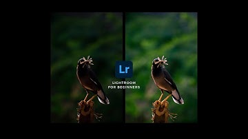 Understanding Shadows and Highlights in Lightroom | Lightroom Tutorials #7