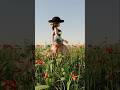 Real Time:Cinematic Rose Garden | Made in Blender Cycle #shorts #blender #art