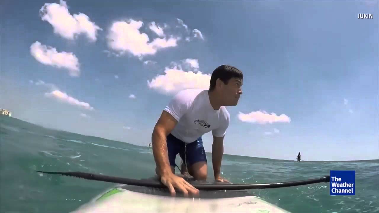 Shark Knocks Man Off Paddle Board Near Florida Coast YouTube