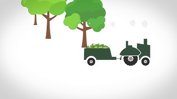 How Do You Get Sugar From A Sugar Beet?