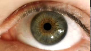 Human Eye - Iris Wiggle