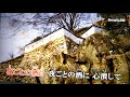 「新曲」まっこと男花/中西りえ/byhisaogotoh