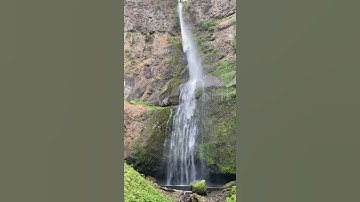 Cảnh đẹp rừng núi #cuộc sống