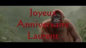 Petit Singe Youtube