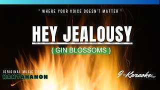 Hey Jealousy (GIN BLOSSOMS) Karaoke Lyrics🎤