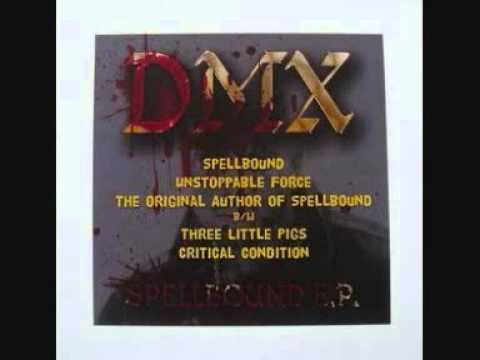 ヒップホップ+ラップ DMX - Catching The Same Hell DMX – The Born Loser / Catching The Same Hell – Vinyl (12