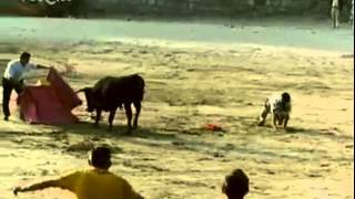 CANDÁS y PERLORA (ASTURIAS)