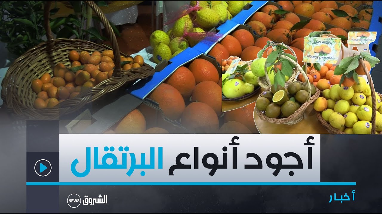 بسبب احتكارها وتسويقها إلى جهات مجهولة.. أجود أنواع البرتقال لاتصل إلى المواطن !