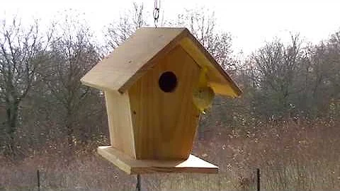 Comment faire une cabane d'oiseaux ?