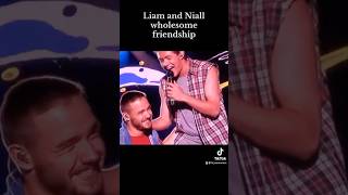 Liam and Niall Wholesome Friendship #onedirection #shorts Liam and Niall Wholesome Friendship #onedirection #shorts