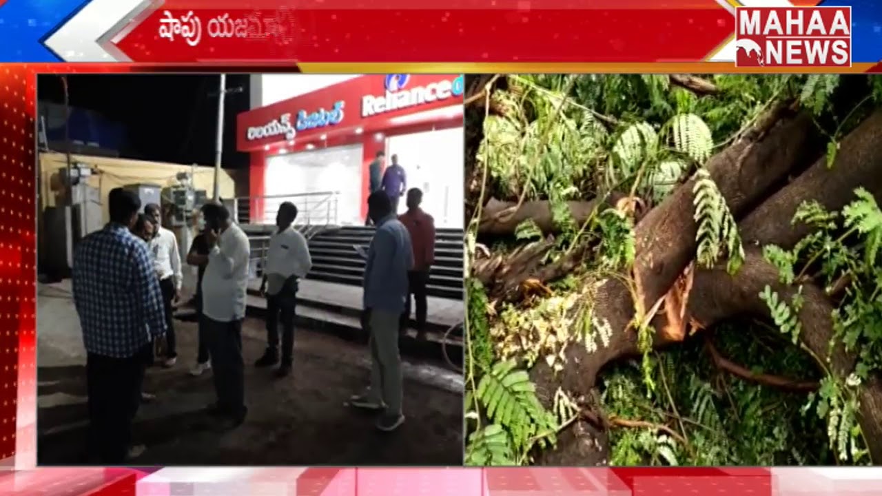 Mahaa News Effect...GHMC Officers Fines 1 Lakh To Shop Owner For Cutting Tree | MAHAA NEWS