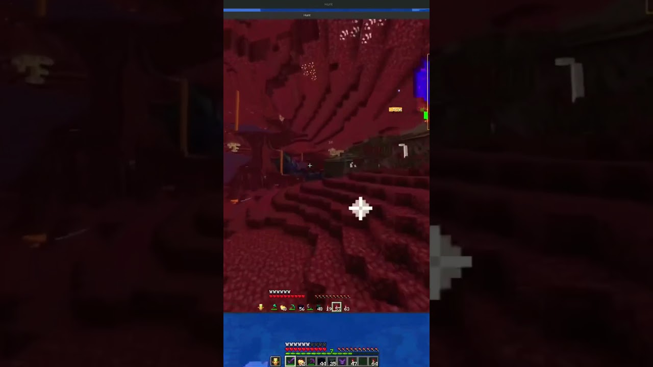 BepHax детектор пропуска порталов для 2b2t 