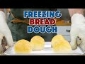 Freezing Potato Bun Dough Experiment How To Freeze Bread Dough