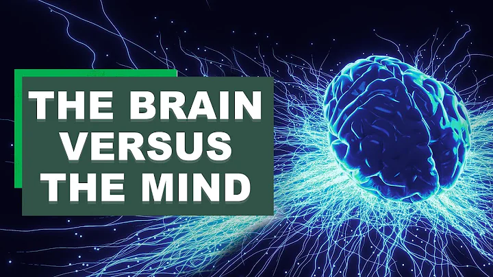 The Brain vs The Mind | Yale Professor of Psychology Paul Bloom (Part 2)