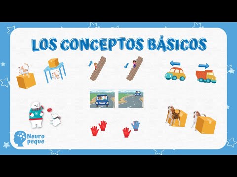 Actividades de CONCEPTOS