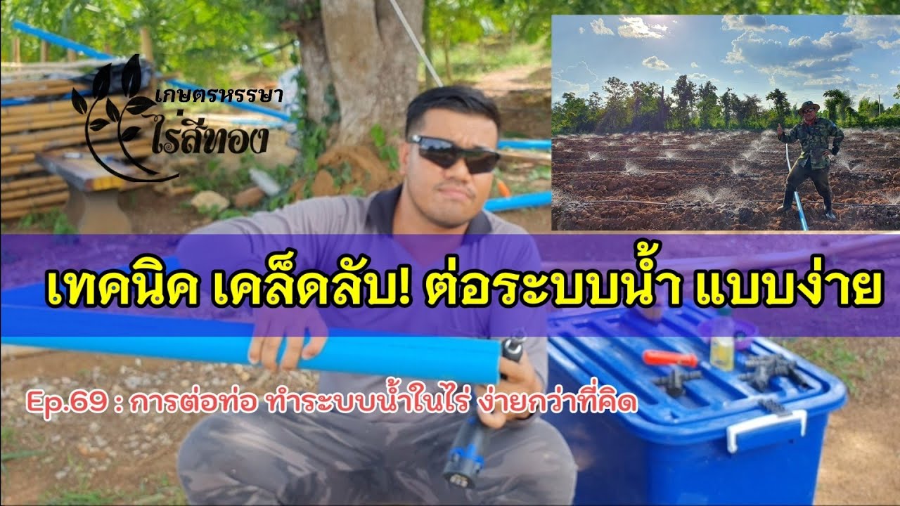 เทคนิคหาดูยาก! ต่อระบบน้ำในไร่ ให้เป็นเรื่องง่าย Ep.69 : เตรียมระบบน้ำ หัวมินิสปริงเกอร์