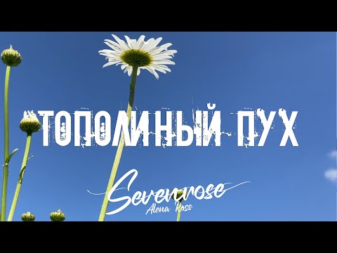 ТОПОЛИНЫЙ ПУХ ♫♬/
