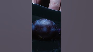 Veo 3 AI ASMR: Delicate Blueberry Cutting Sounds 🫐✨