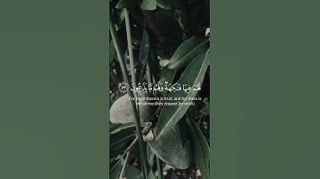 #quran #تلاوة_خاشعة #راحة_نفسية #اسلام_صبحي