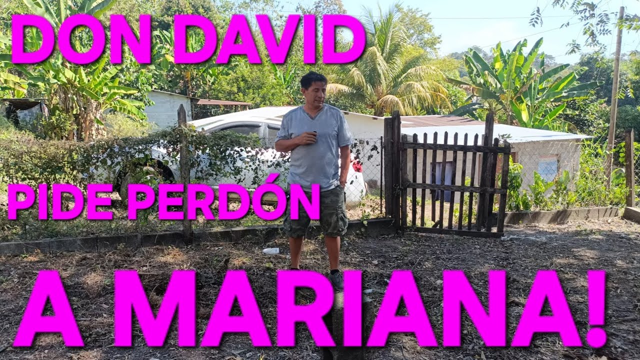 DAVID PIDE PERDÓN A MARIANA,PERO QUE PASÓ,TODA LA VERDAD DE UNA VEZ