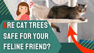 Are Cat Trees Safe for Your Feline Friend? 🐱 Uncover the Truth Now! by Charming Pet Guru Official 2 views 5 hours ago 11 minutes, 36 seconds