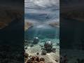 US Naval Mine Clearing Strategy 🛥️